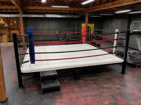 ProBoxing® Professional Boxing Ring (12' x 12' Foot) - Made in USA