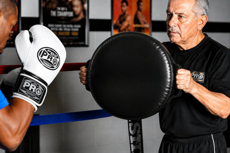 ProBoxing® Deluxe Punch Shield