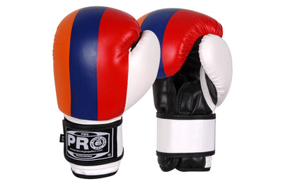 Pro Boxing® Series Deluxe Starter Boxing Gloves - Armenian Flag