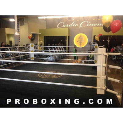 Daily Rental - Pro Boxing 12'x12' Ring